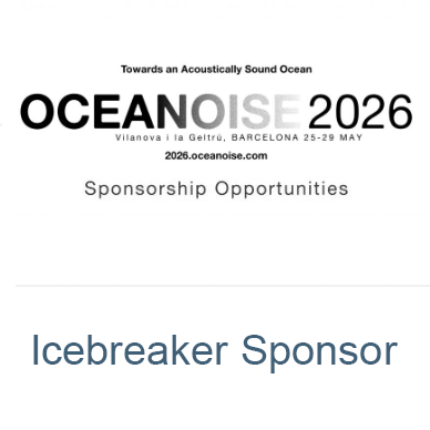 Icebreaker Sponsor €4.5K